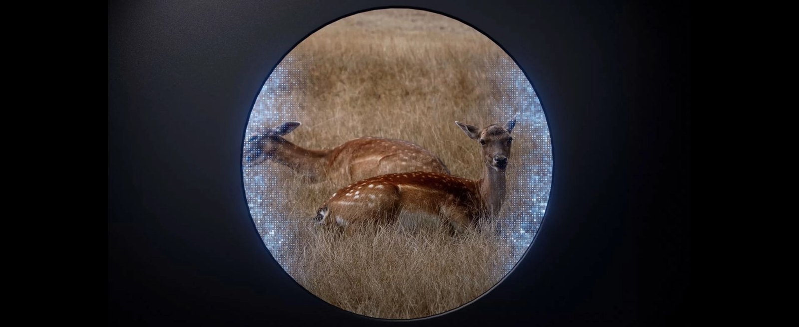 Nocpix NITE D70R skaitmeninė naktinio matymo optika