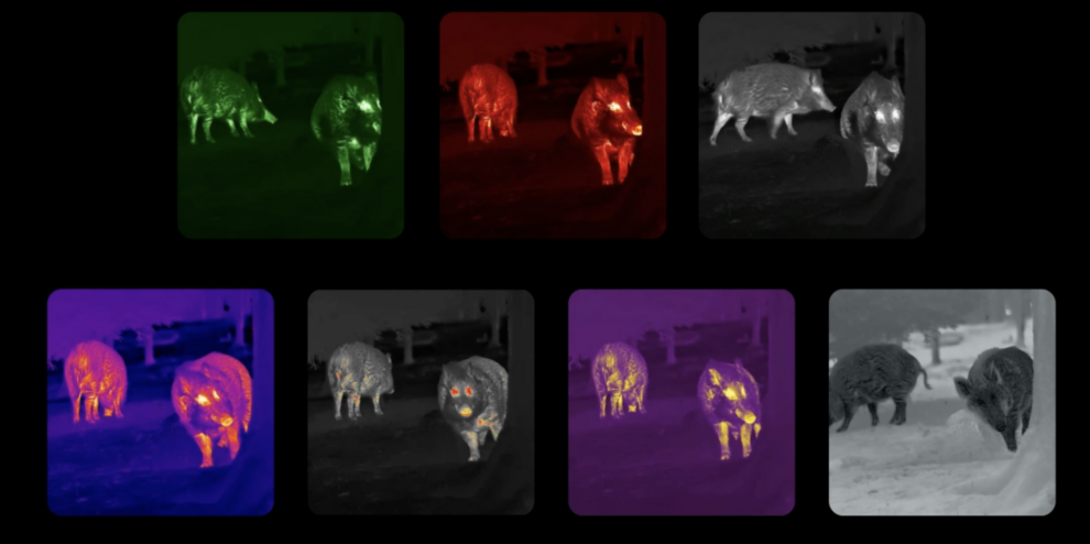 Nocpix LUMI L35 termovizorius